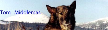 banner_tommiddlemas.jpg
