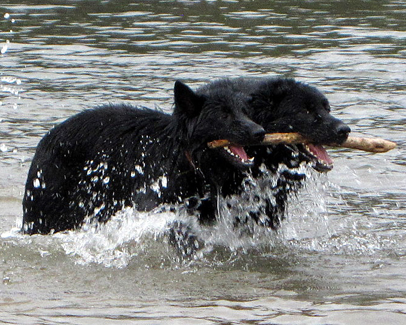 calypso1jahr.jpg