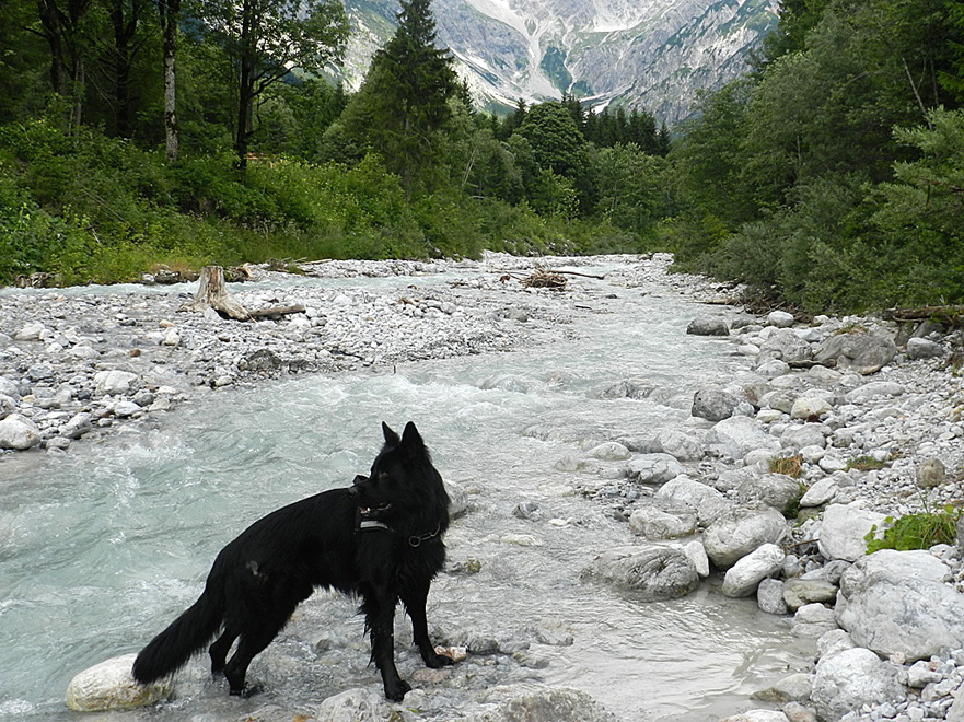 aragorn-luke2jahre_006.jpg